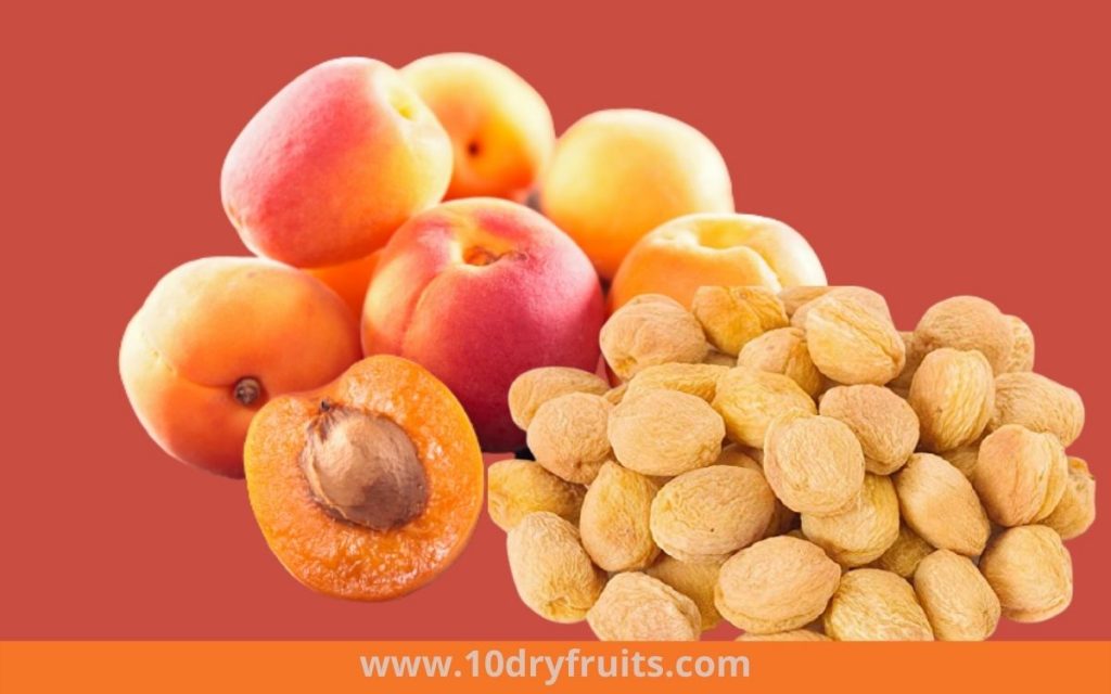 Dry Apricots Best Dry Fruits in India
