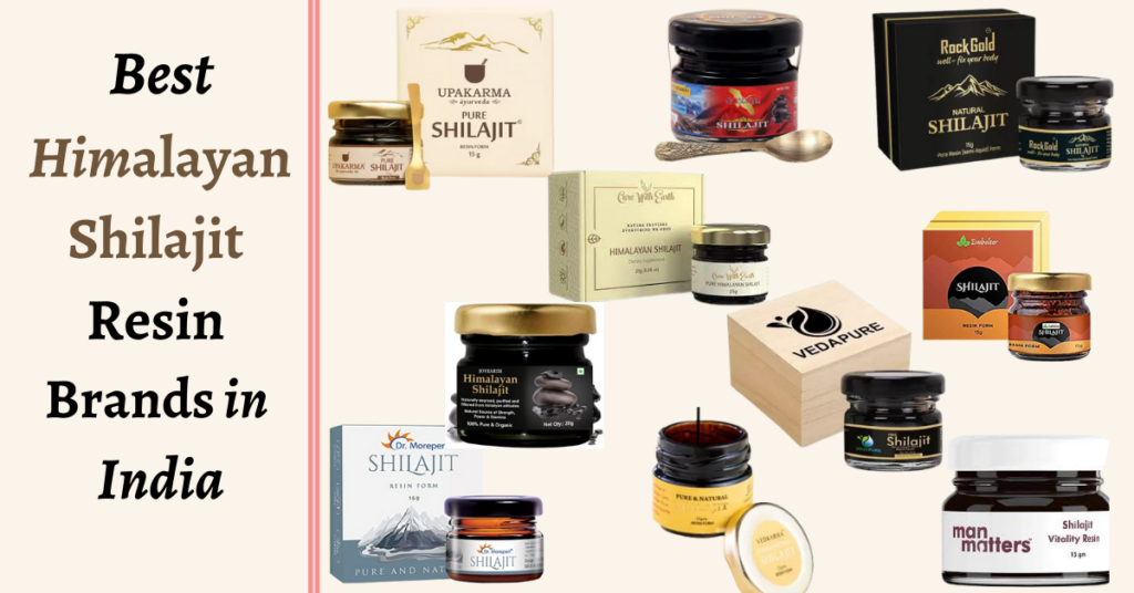 Best Himalayan Shilajit Resin Brands in India