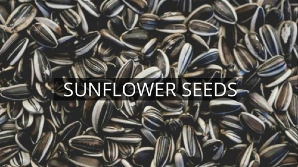 sunflower seeds to plant