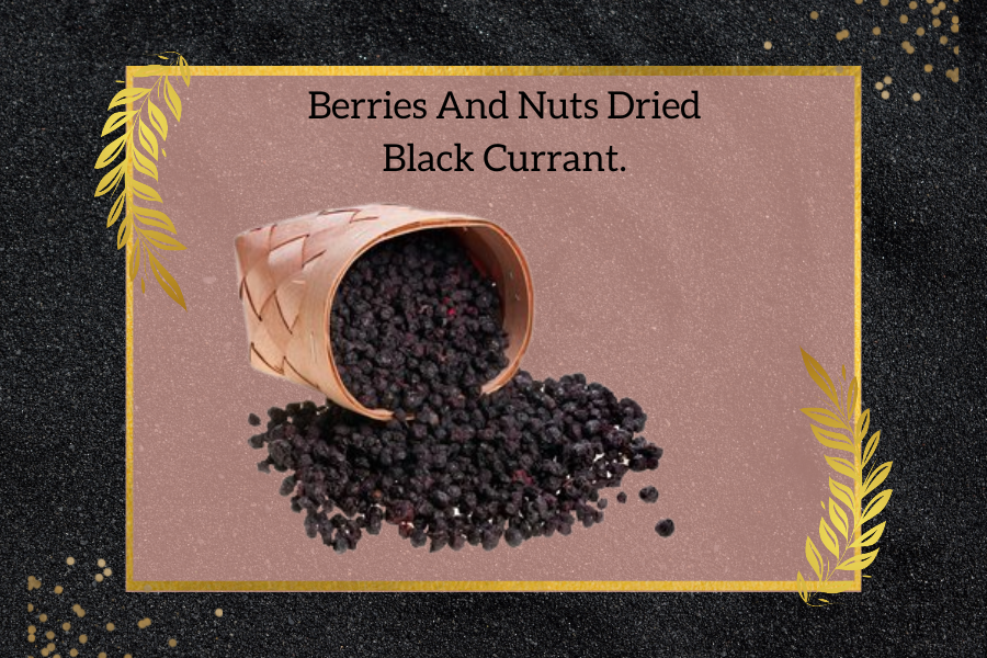 black currant price in india