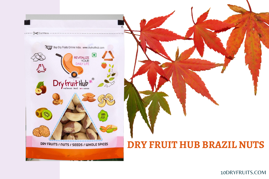 dry fruits manufacturing companies in india