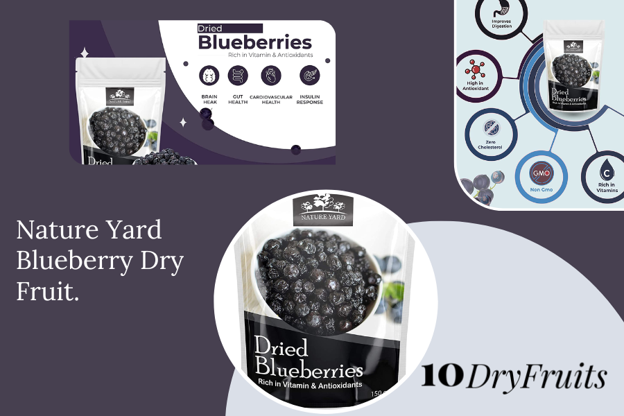 dried blueberry benefits